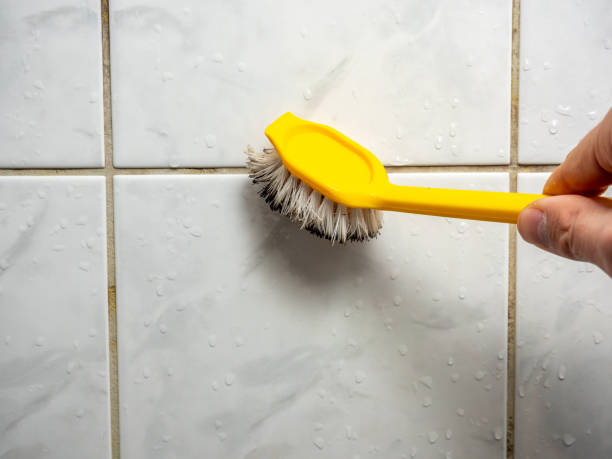Best Health and Safety Mold Remediation in Clinton, UT